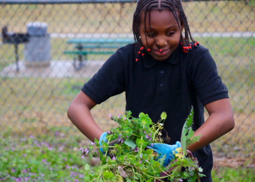 Girl helping at the neal elementary garden